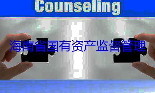 查调查理委员会党资产监督管有福接受审海南省国有委副书记王